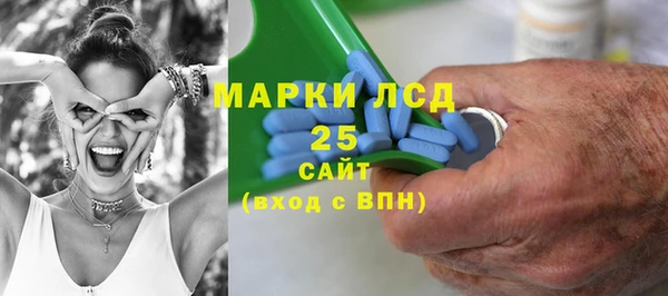 spice Гусиноозёрск