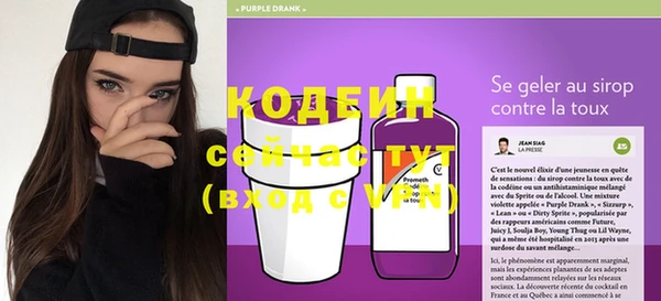 стаф Гусев