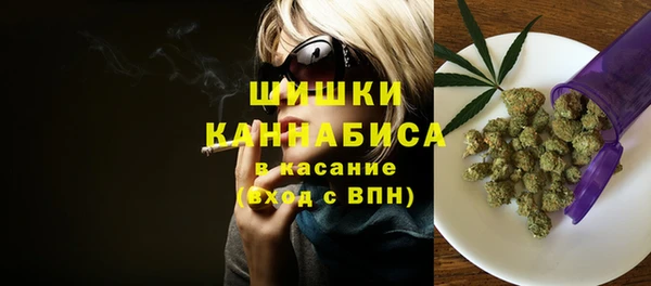 стаф Гусев
