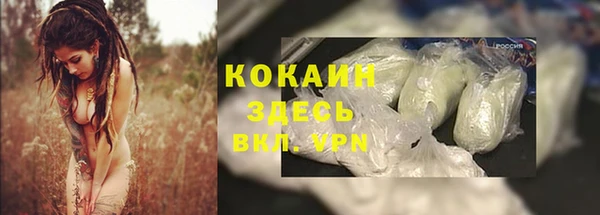 стаф Гусев