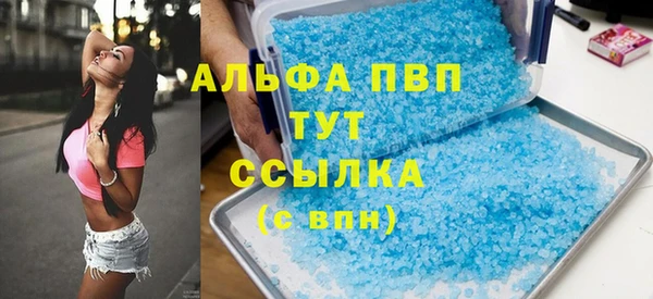 стаф Гусев