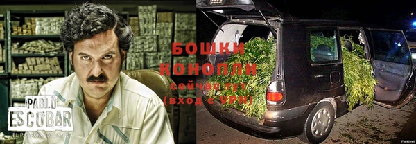 стаф Гусев