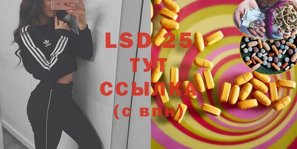 spice Гусиноозёрск