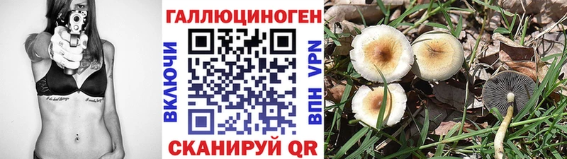 blacksprut как зайти  Озёры  Псилоцибиновые грибы Psilocybe  закладки 