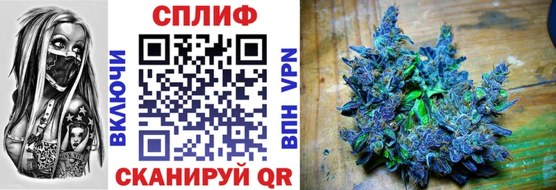 купить наркотики цена  Озёры  Конопля конопля 
